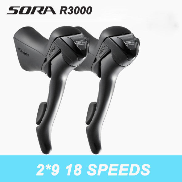 Sava r6 2025